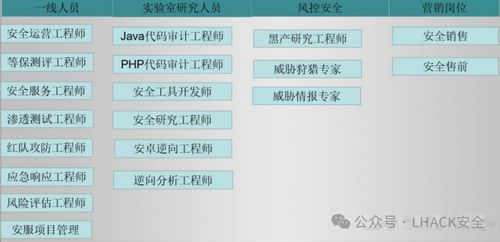 网络安全专家与信息安全毕业生就业分析 聚焦网络与信息安全软件开发